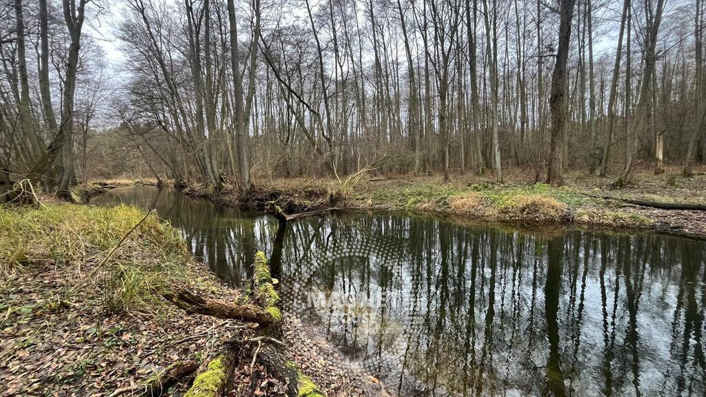 Działka Sprzedaż Szczecin Płonia