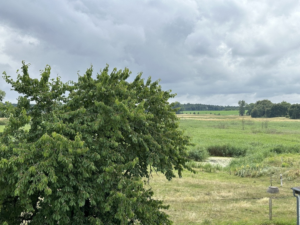 Dom Sprzedaż Bismark Am Sportplatz