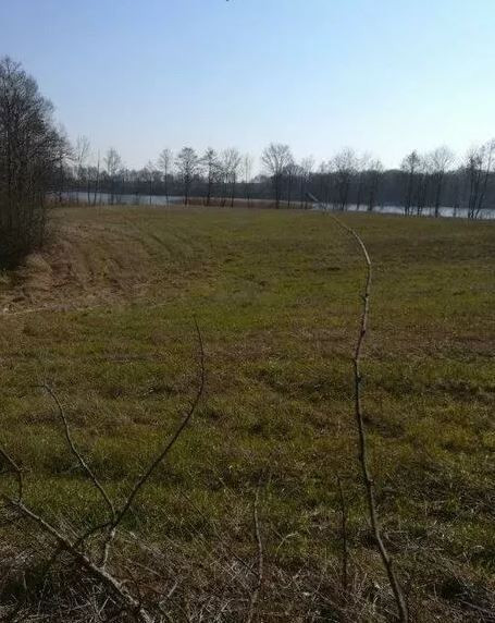 Działka Sprzedaż Kaszewo