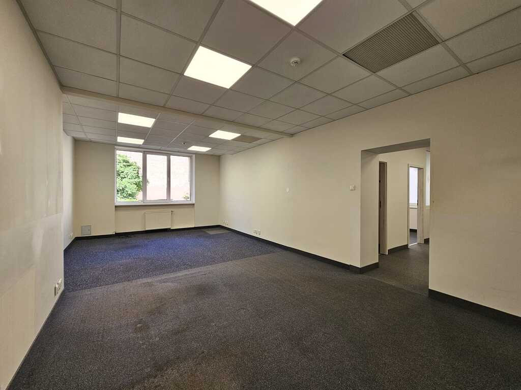 Lokal Wynajem Szczecin Centrum