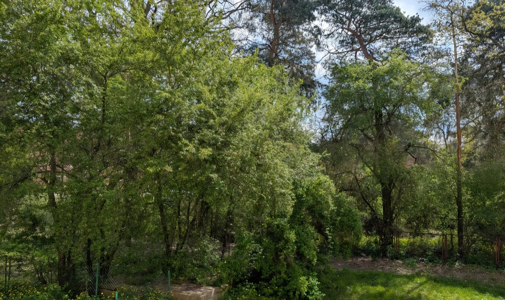 Mieszkanie Sprzedaż Szczecin Załom Produkcyjna