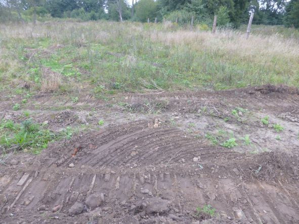 Działka Sprzedaż Kobylanka