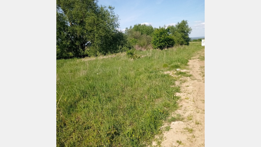 Działka Sprzedaż Szczecin Skolwin