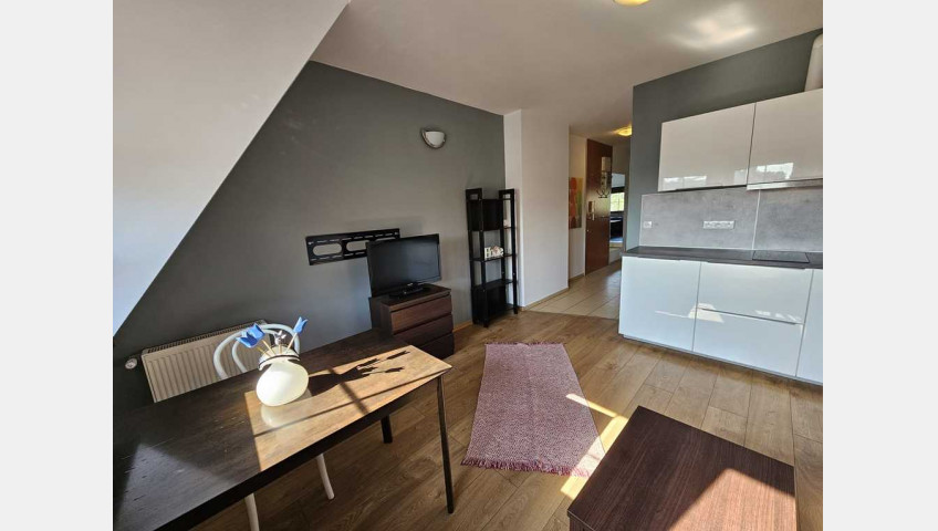 Mieszkanie Wynajem Szczecin Stare Miasto Panieńska