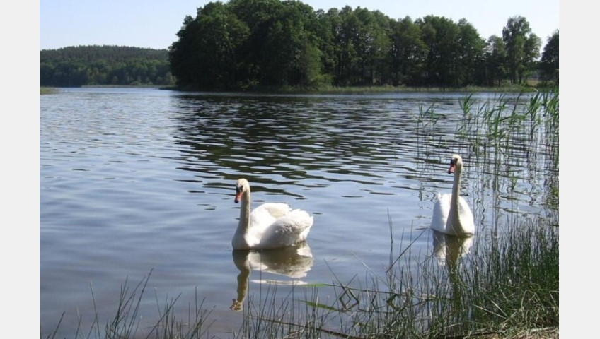 Działka Sprzedaż Zabierzewo