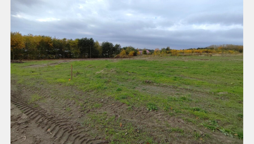 Działka Sprzedaż Goleniów