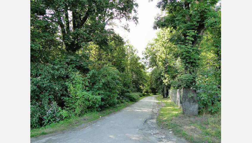 Działka Sprzedaż Kurów