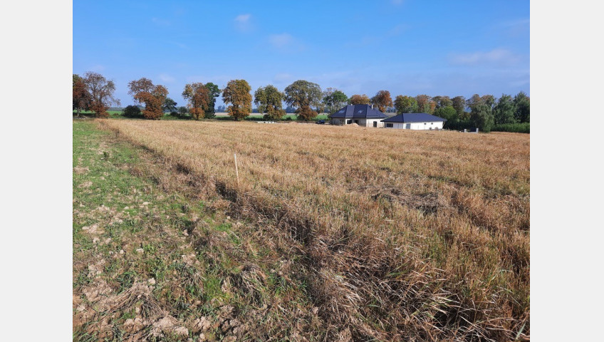 Działka Sprzedaż Kurów