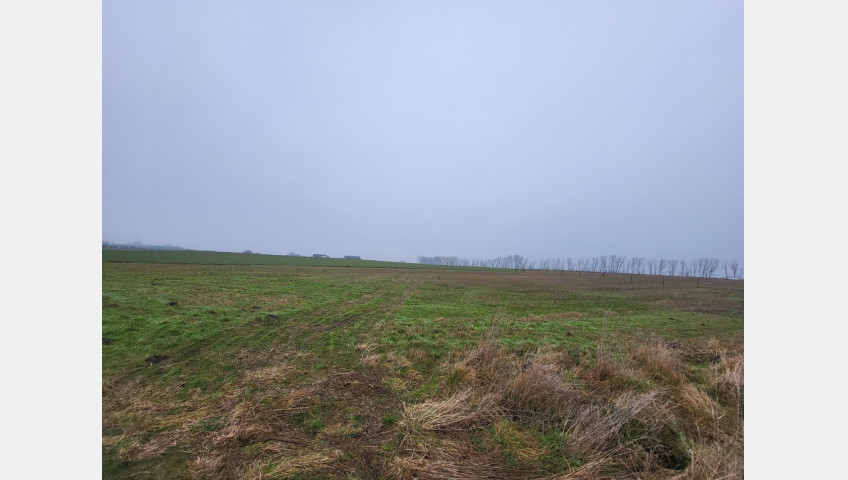 Działka Sprzedaż Warzymice