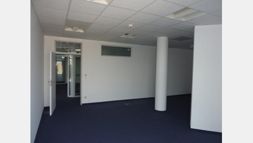 Lokal Wynajem Szczecin Centrum