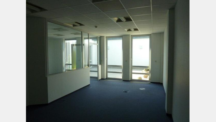 Lokal Wynajem Szczecin Centrum