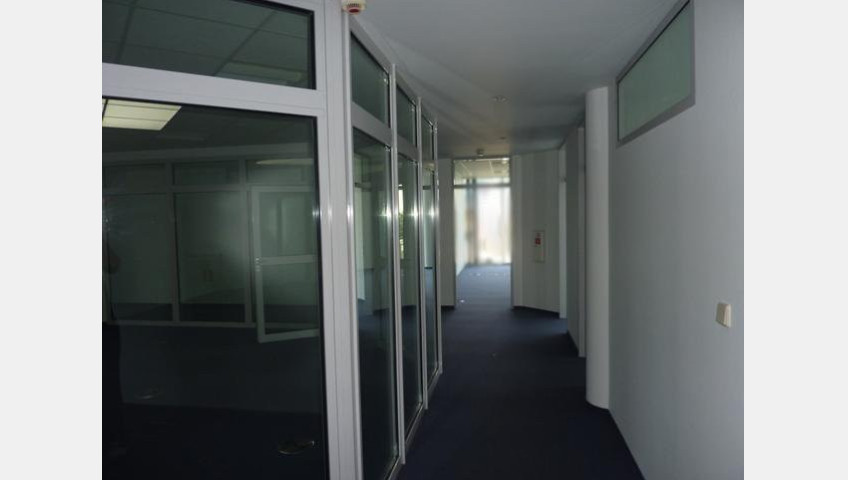 Lokal Wynajem Szczecin Centrum