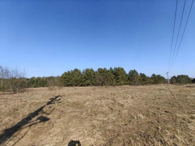 Działka Sprzedaż Białuń