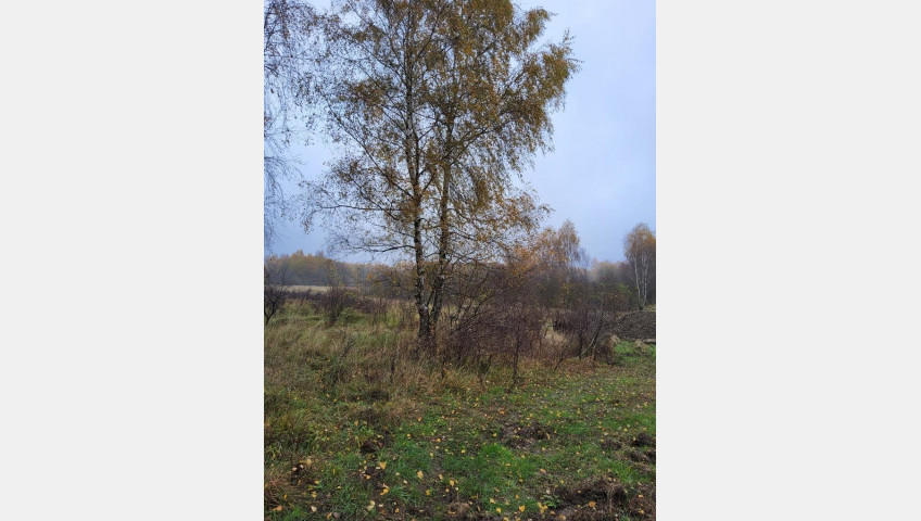 Działka Sprzedaż Szczecin Warszewo