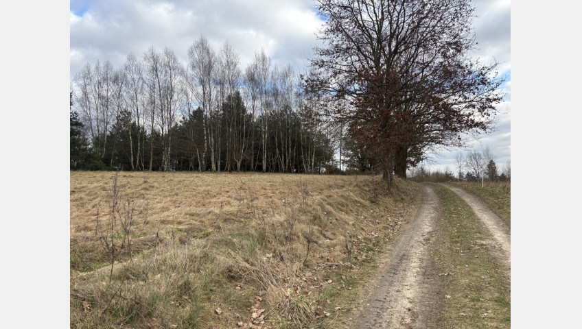 Działka Sprzedaż Kikorze