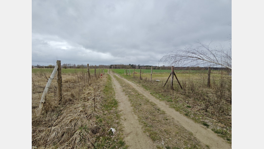 Działka Sprzedaż Wąwelnica
