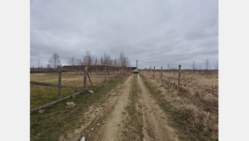 Działka Sprzedaż Wąwelnica