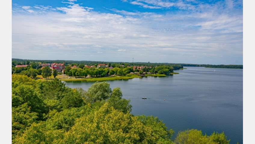 Działka Sprzedaż Ścienne