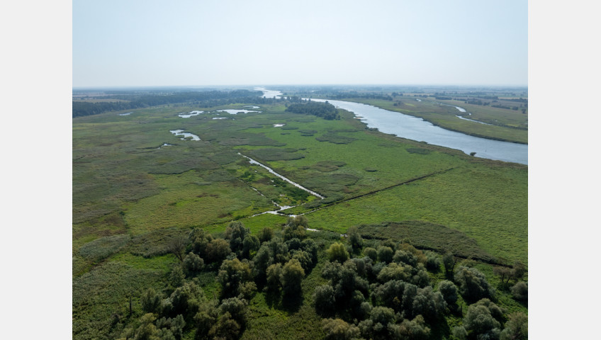 Działka Sprzedaż Stary Błeszyn
