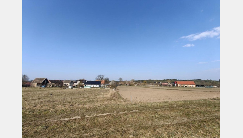 Działka Sprzedaż Żarnowo