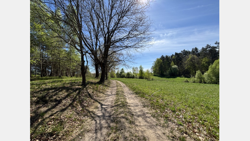 Działka Sprzedaż Kikorze