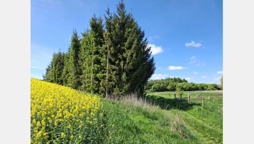Działka Sprzedaż Parsów