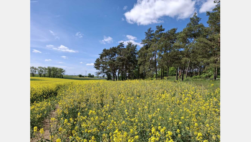 Działka Sprzedaż Parsów
