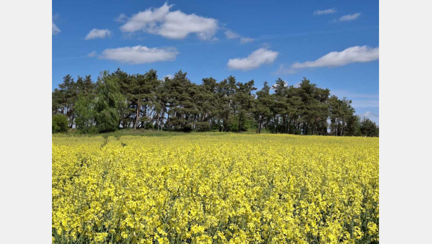 Działka Sprzedaż Parsów