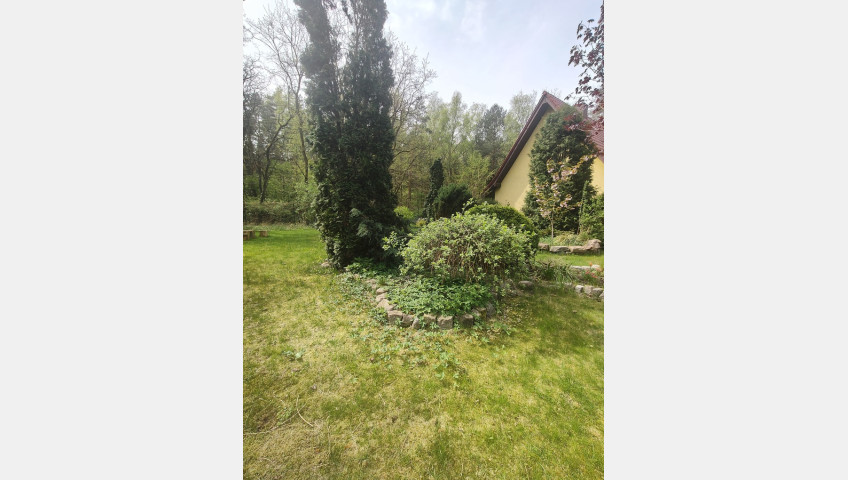 Dom Sprzedaż Stare Leśno
