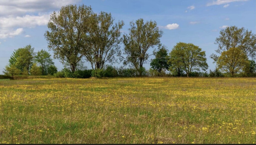 Działka Sprzedaż Jarnatów