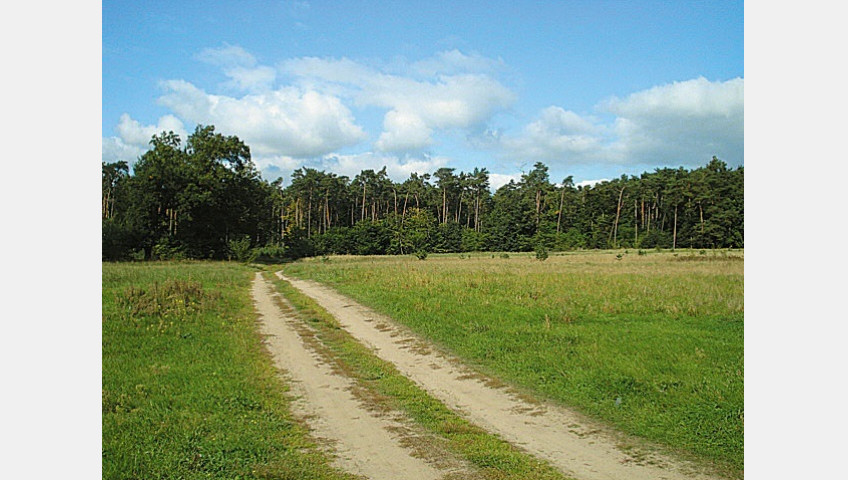 Działka Sprzedaż Kościno