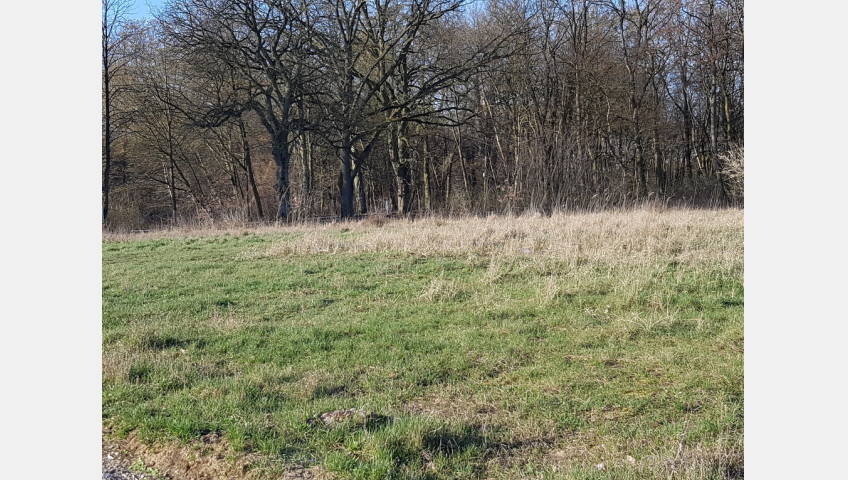 Działka Sprzedaż Kościno