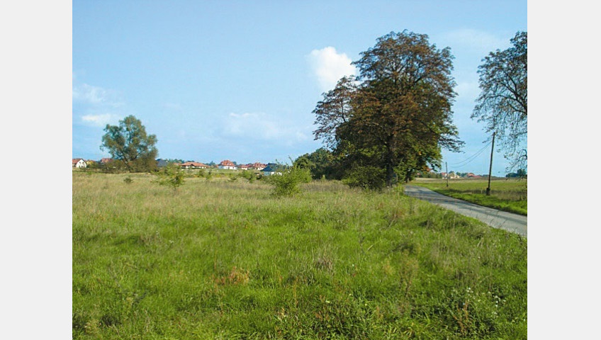 Działka Sprzedaż Kościno