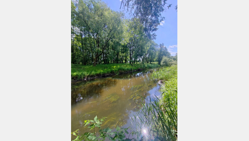 Działka Sprzedaż Żarowo