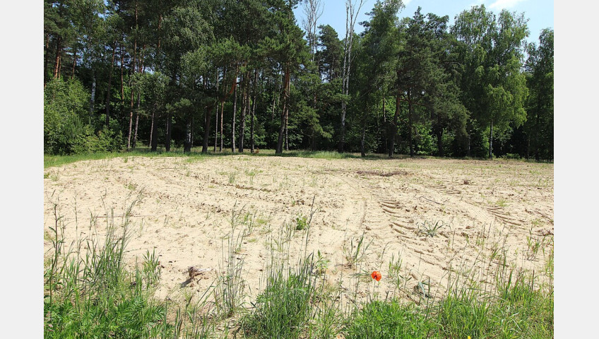 Działka Sprzedaż Grabowo