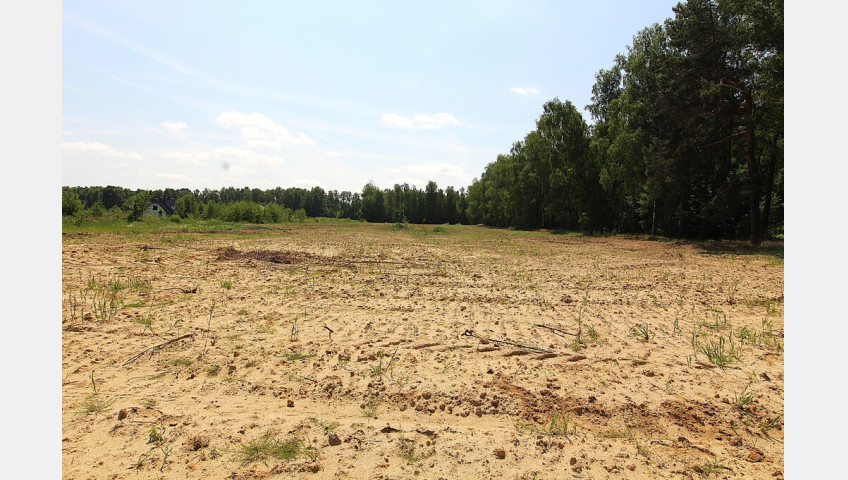 Działka Sprzedaż Grabowo