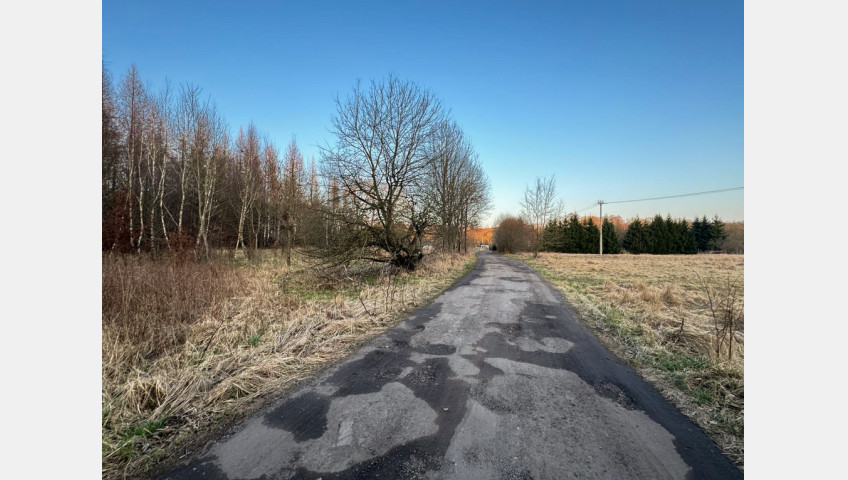 Działka Sprzedaż Błotno Błotny Młyn