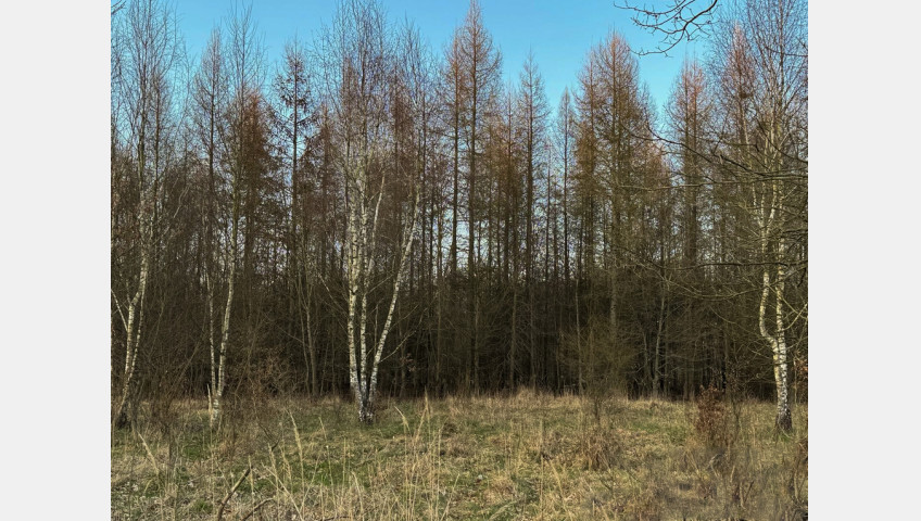 Działka Sprzedaż Błotno Błotny Młyn