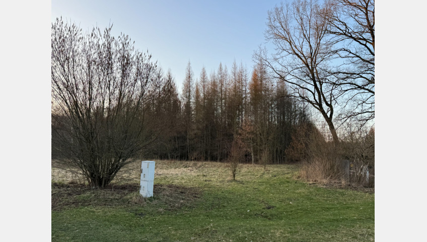 Działka Sprzedaż Błotno Błotny Młyn