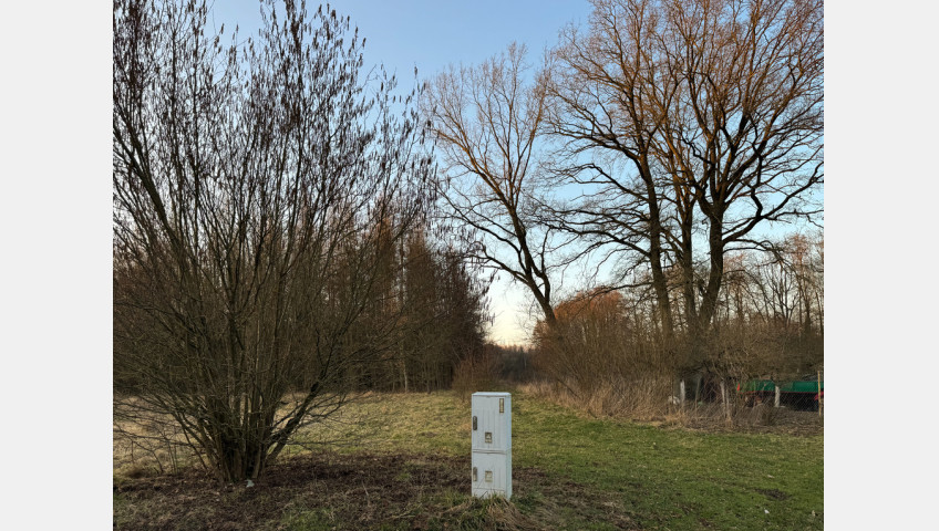 Działka Sprzedaż Błotno Błotny Młyn