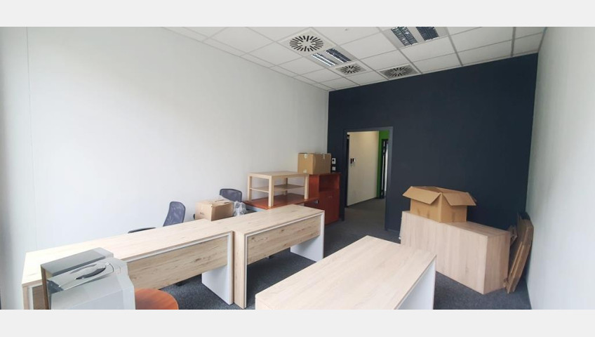Lokal Wynajem Szczecin Centrum