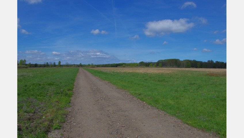 Działka Sprzedaż Niedźwiedź