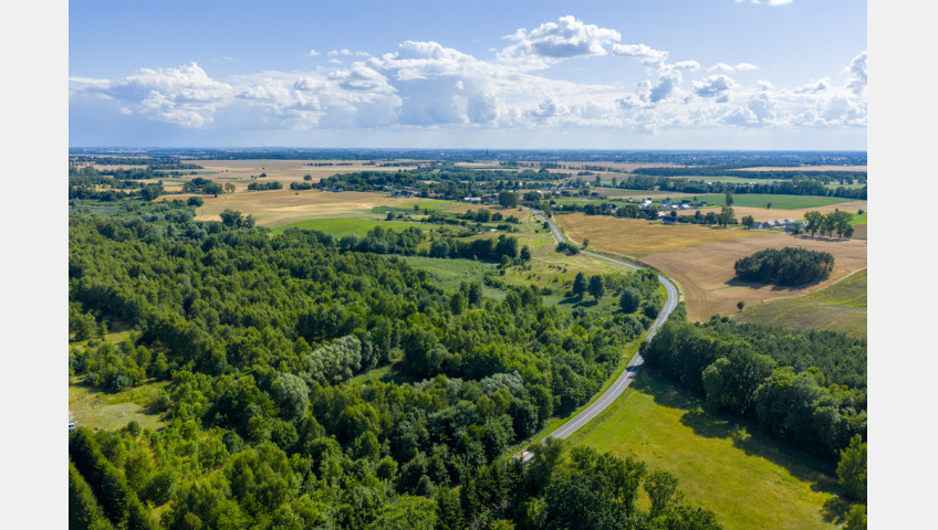 Działka Sprzedaż Grabowo