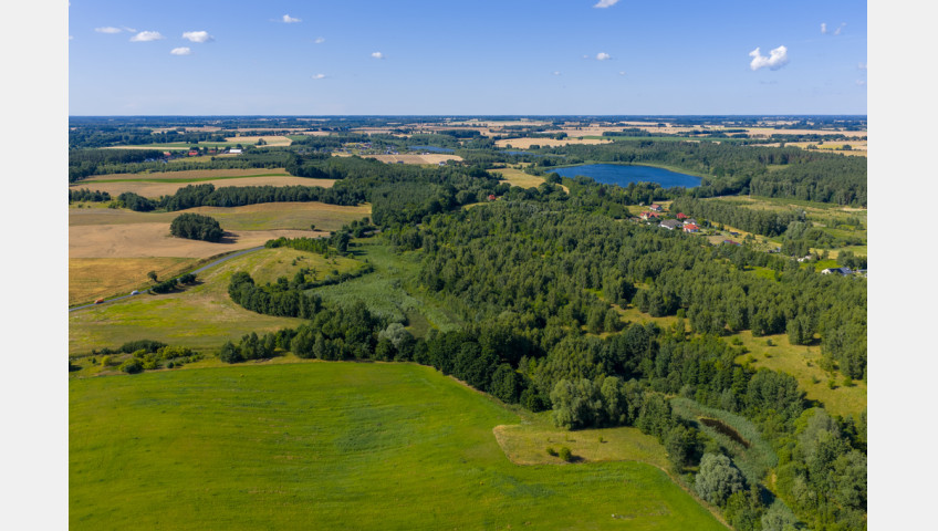 Działka Sprzedaż Grabowo