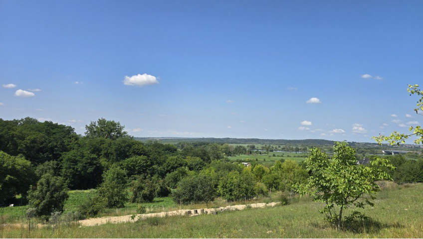 Działka Sprzedaż Radziszewo Liliowa