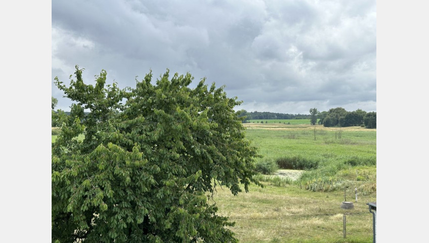 Dom Sprzedaż Bismarck 17321 Ramin, Vorpommern-Greifswald, Mecklenburg-Vorpommern Am Sportplatz