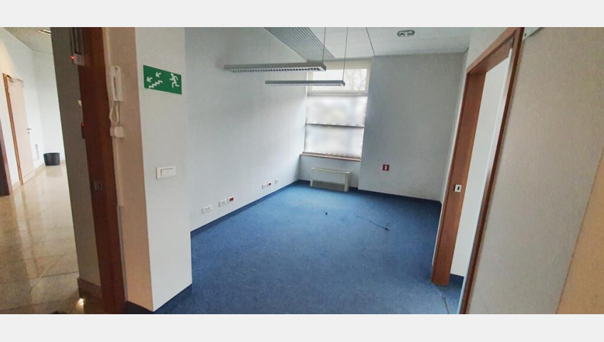 Lokal Wynajem Szczecin Śródmieście-Centrum