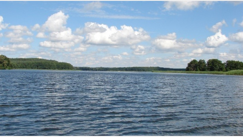 Działka Sprzedaż Dąbrowica