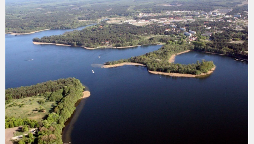 Działka Sprzedaż Dąbrowica