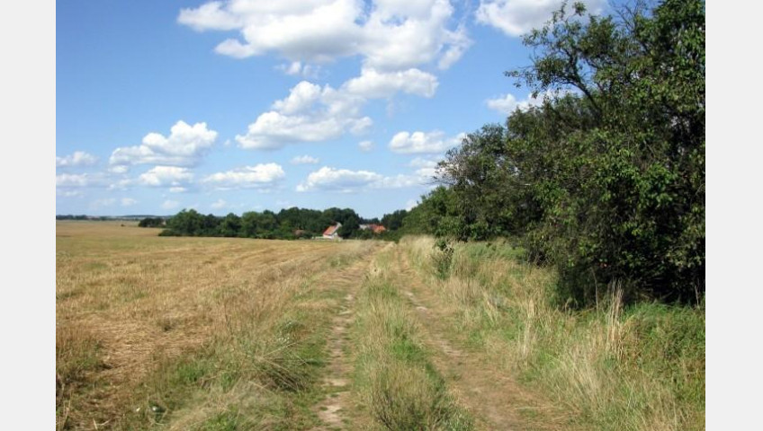 Działka Sprzedaż Barnisław